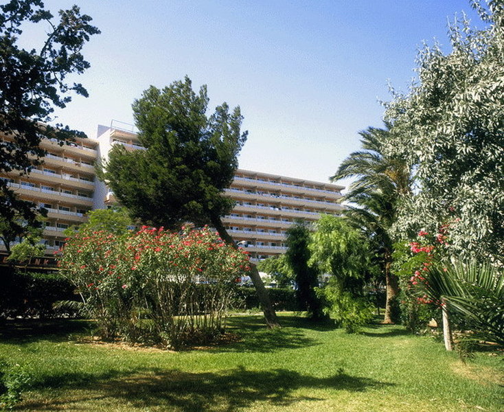 dal travel Barracuda