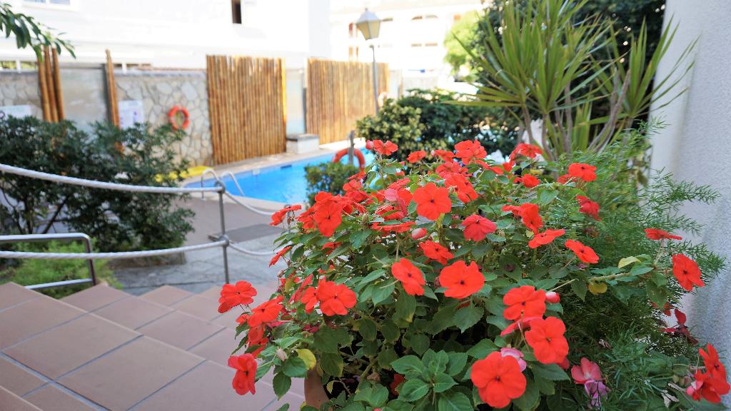 Hotel Hotel Playas Del Rey