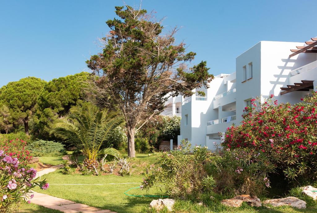dal travel Hotel Palia Puerto Del Sol