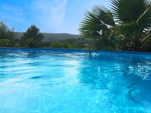 dal travel Finca Almendra
