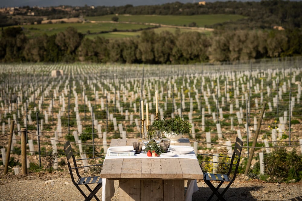 dal travel Finca Serena