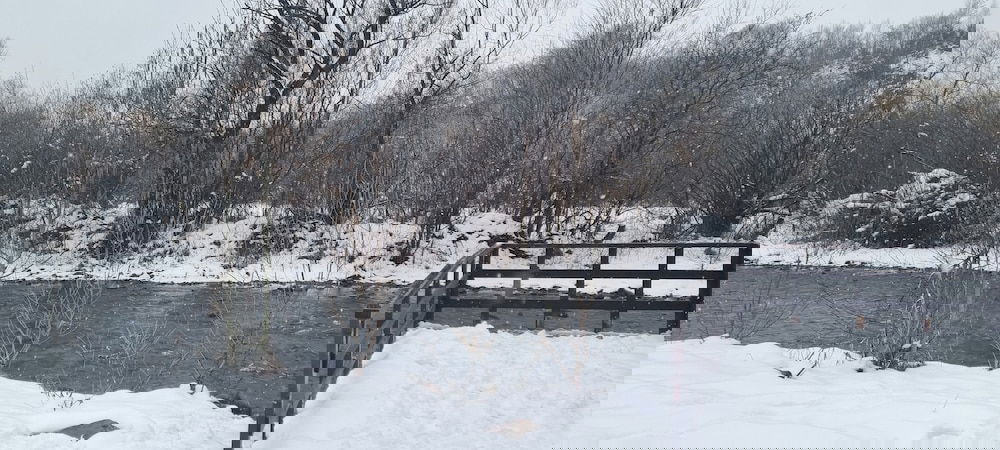 Hotel Avrigelli, Baby&Kids Friendly