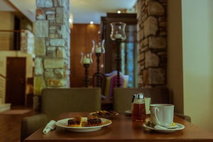 Hotel Manthos Mountain Resort & Spa cazare Volos