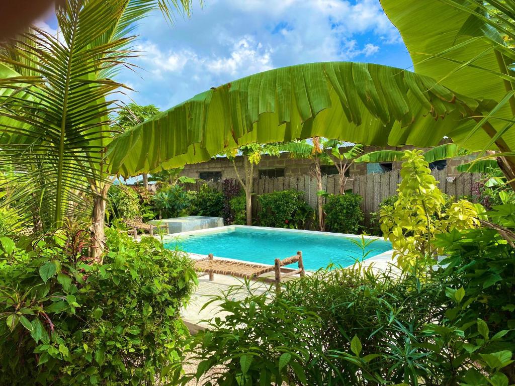 Hotel Shamba Village