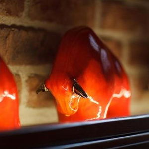 Hotel Penzion Slovakia cazare Kosice