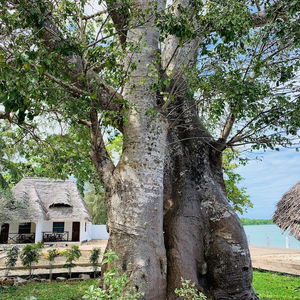 Sejur Menai Bay Beach Bungalows vacanta Zanzibar