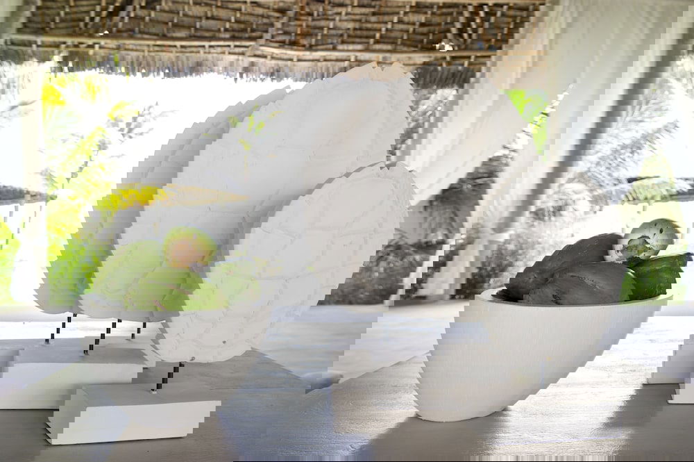 Hotel Zawadi Hotel Zanzibar