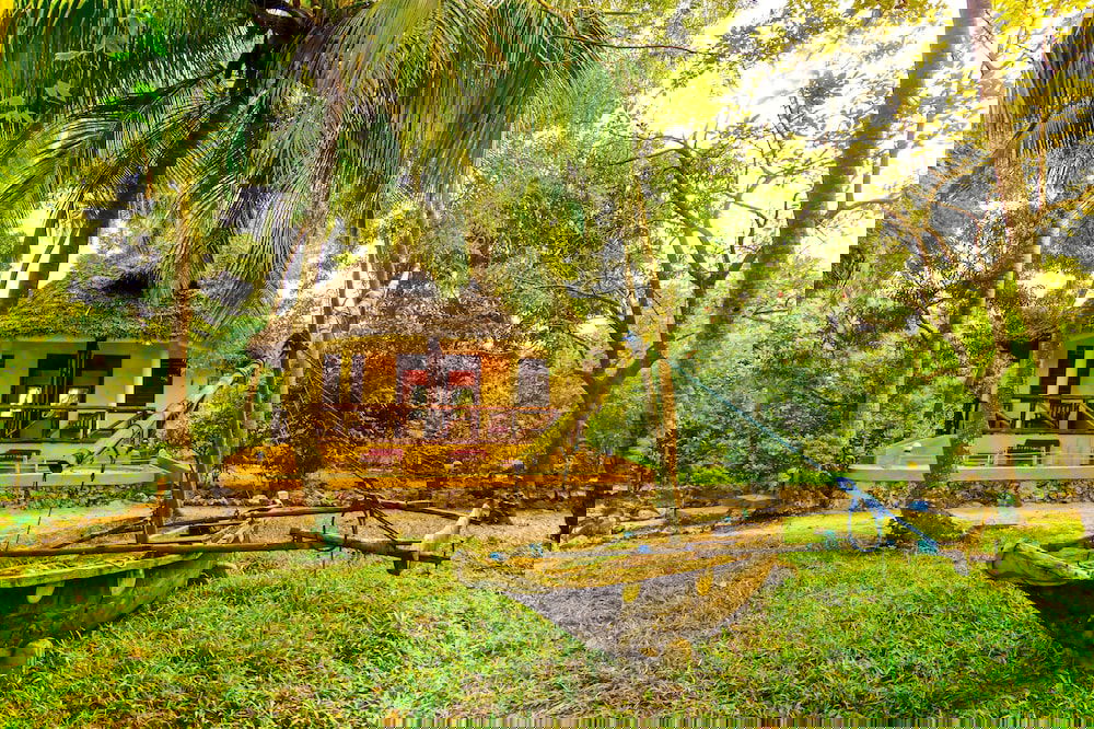 Hotel Mangrove Lodge