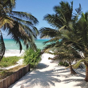 Hotel Pongwe Bay Resort cazare Zanzibar