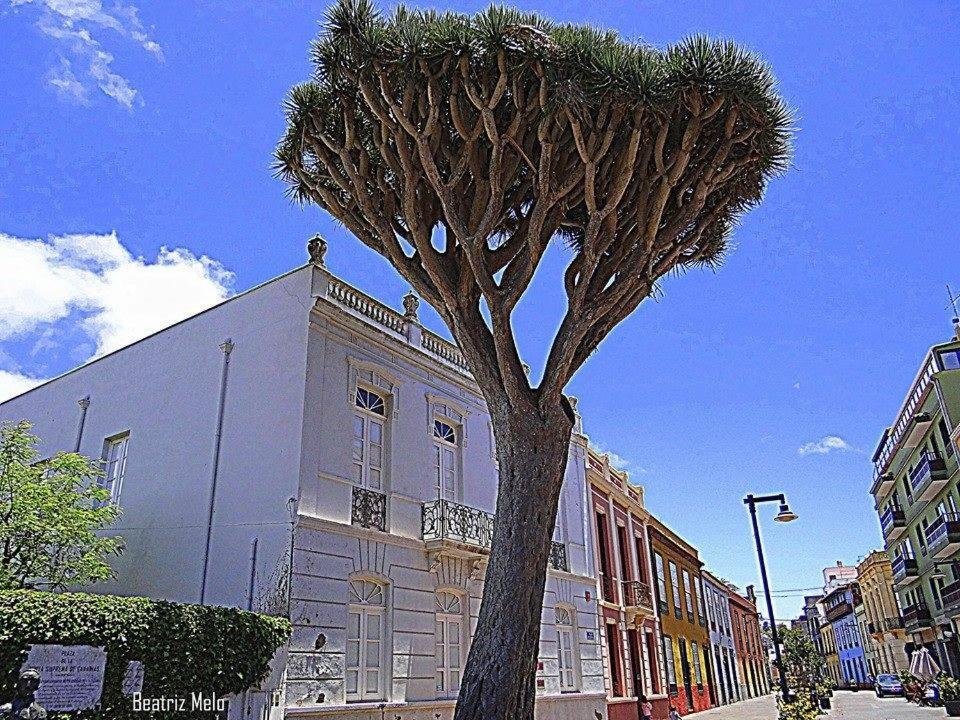 dal travel Apartamento Belén