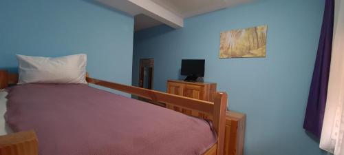 Hotel Hostel Voineasa