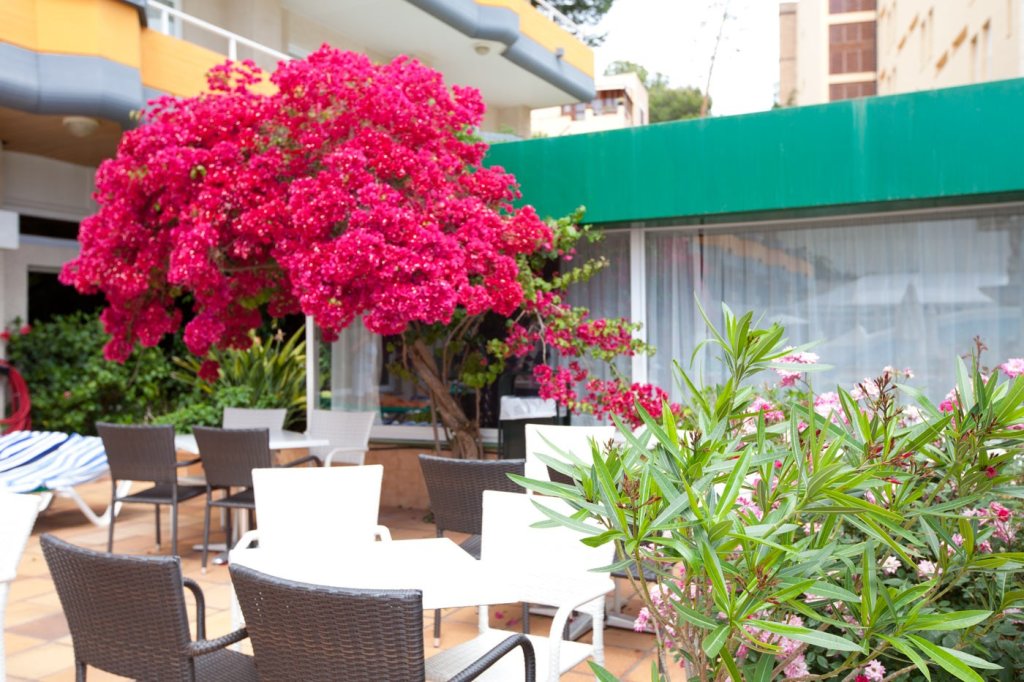 dal travel Seramar Apartamentos Sunna Park