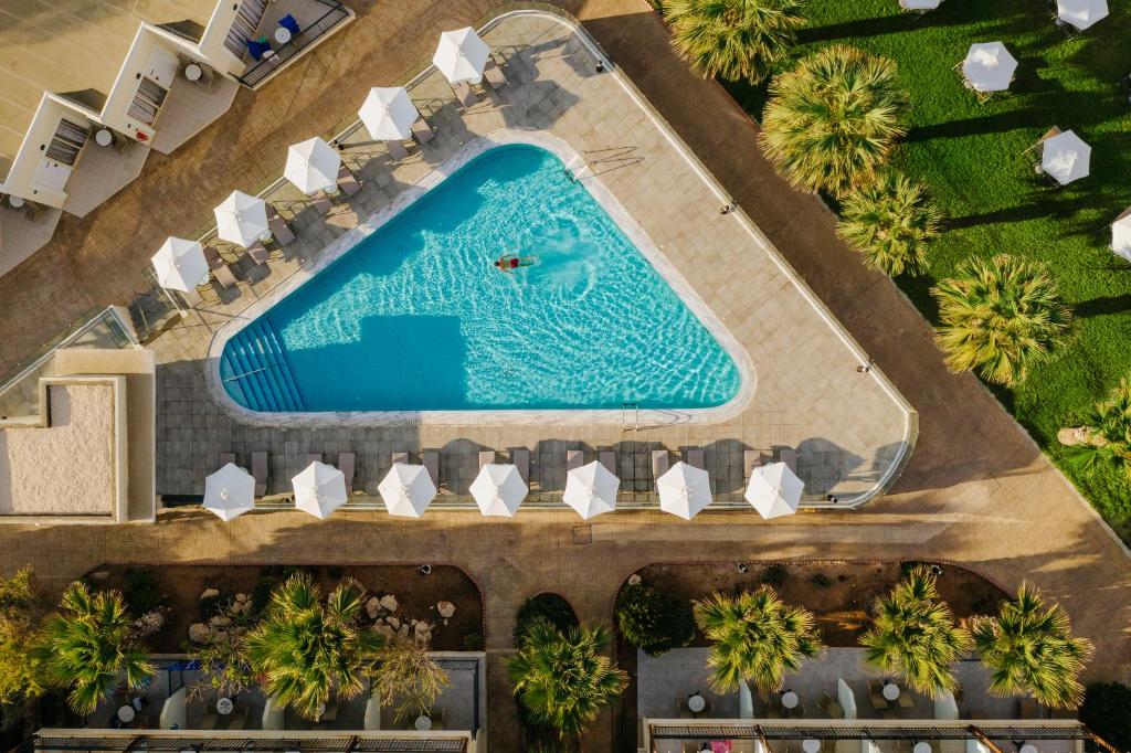 dal travel Louis Paphos Breeze