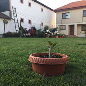 Hotel Casa Noastra cazare Vama Veche