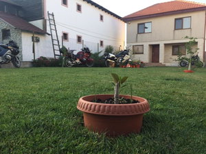 Hotel Casa Noastra cazare Vama Veche