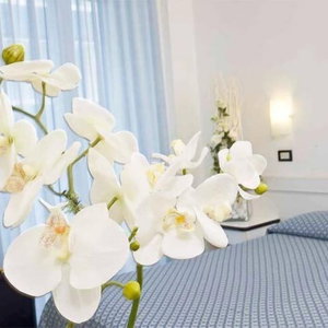 Hotel Elite cazare Cattolica