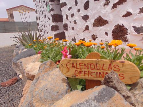 Hotel Casa Rural Soleario