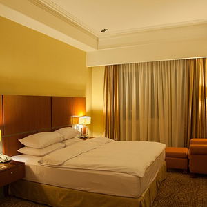 Hotel Tehran Grand Hotel 2 cazare Tehran