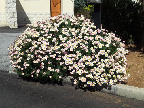 Hotel Hotel Giardino