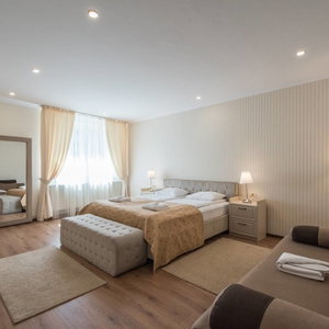 Hotel Pensiunea David cazare Targu-Mures