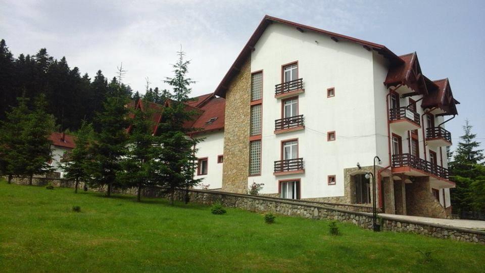 Hotel Hotel Floare De Colt