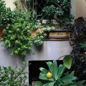 Sejur Casa Barbero B&B vacanta Catania