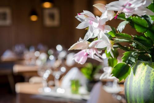 Hotel Hotel Zur Pfeffermühle