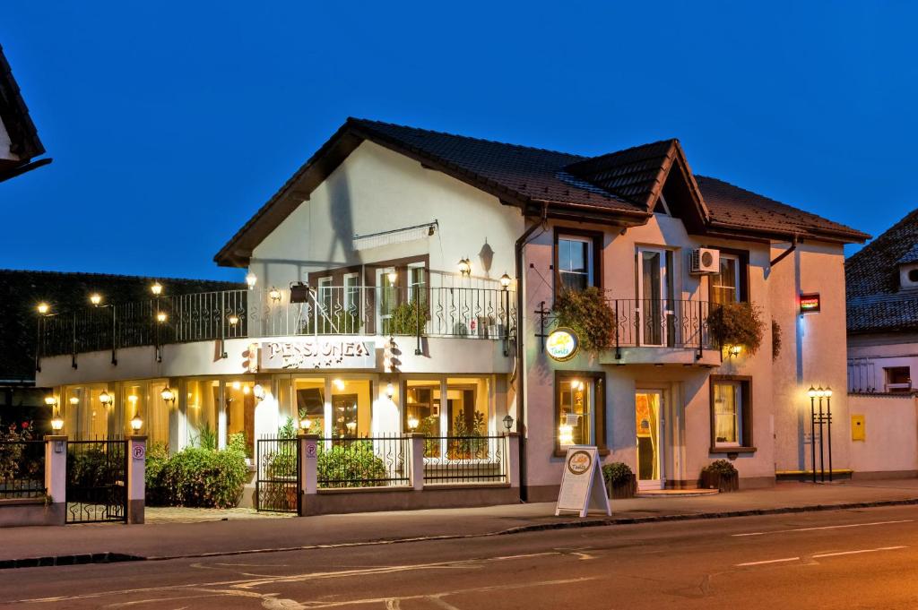 Hotel Pensiunea Luiza