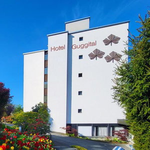 Hotel Hotel Guggital cazare Zug