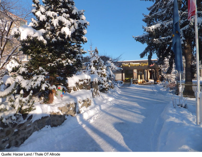 Hotel Carea Harz Hotel Allrode