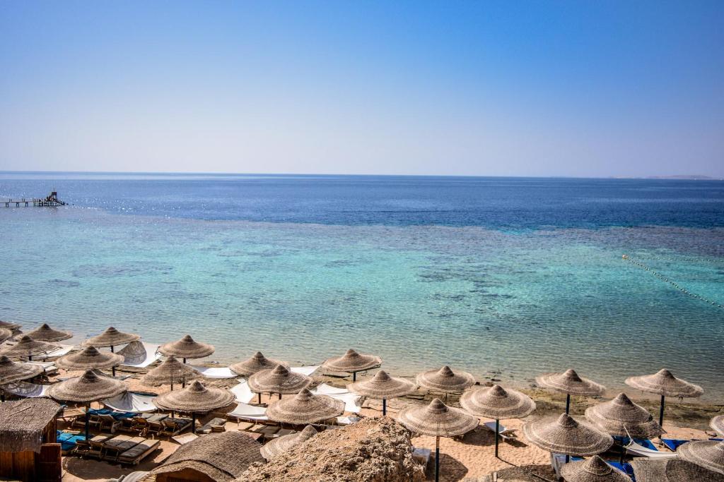 dal travel Dive Inn Resort