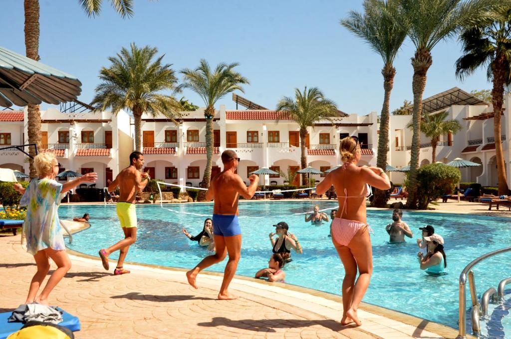 dal travel Dive Inn Resort