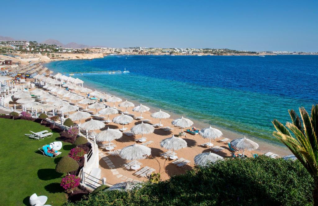 dal travel Sunrise Arabian Beach Resort
