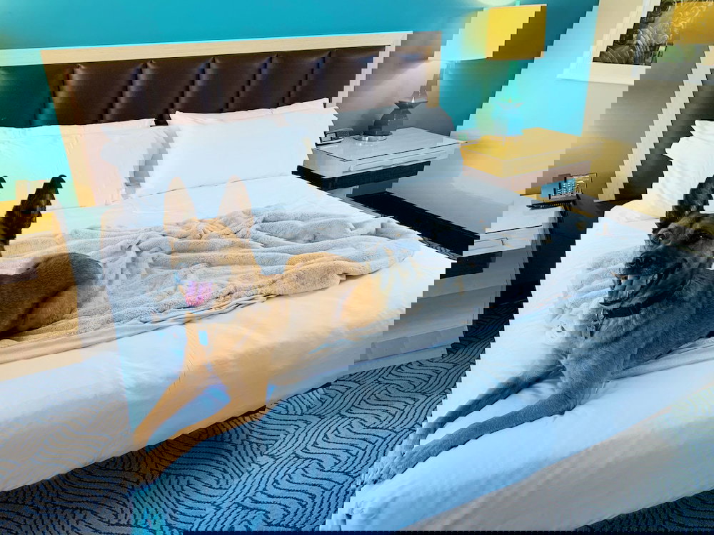 Hotel Downtown Grand Las Vegas