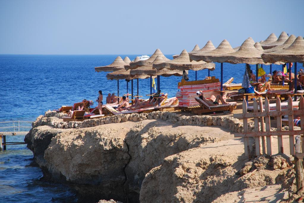 dal travel Coral Hills Resort Sharm El Sheikh
