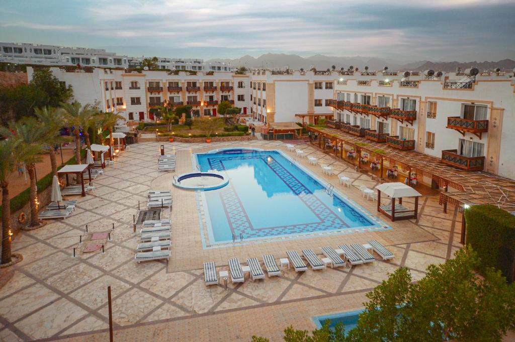 dal travel Falcon Naama Star