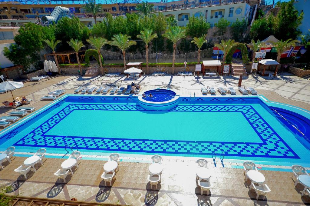 dal travel Falcon Naama Star