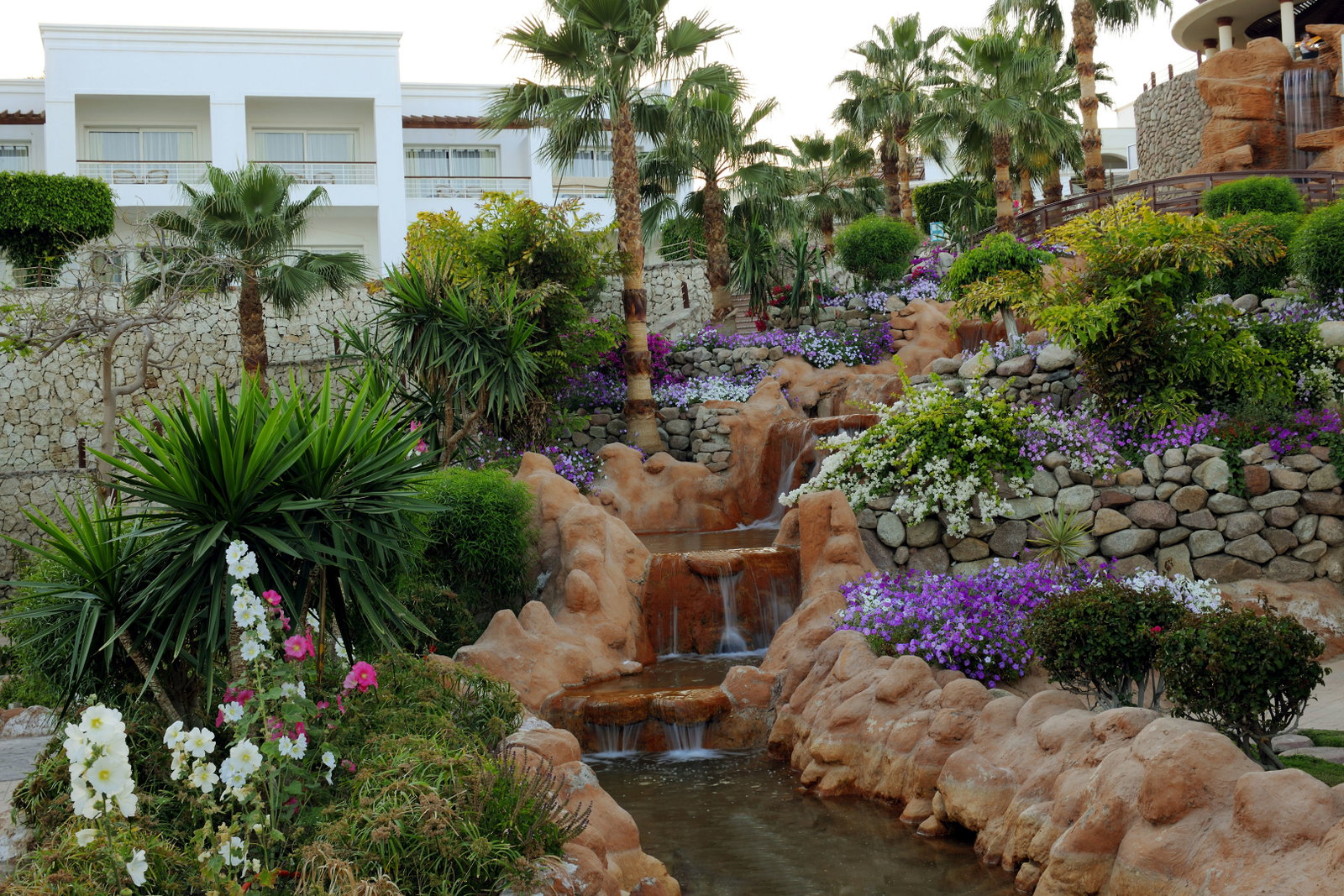 dal travel Renaissance Sharm El Sheikh Golden View Beach Resort