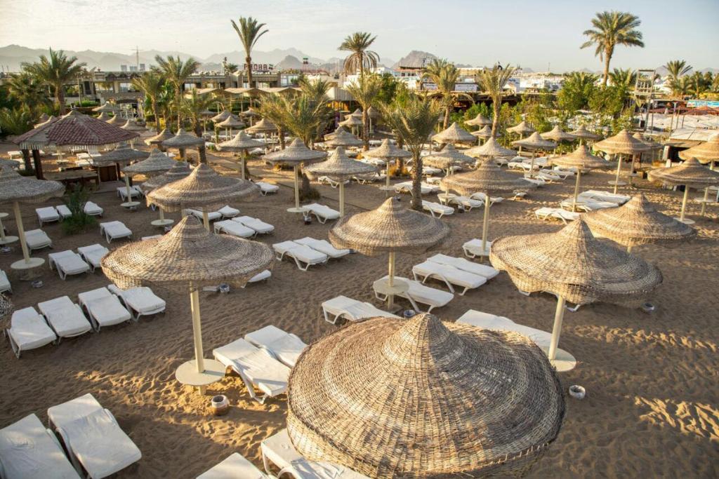 dal travel Cataract Resort Sharm El Sheikh