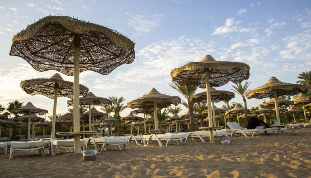 dal travel Cataract Resort Sharm El Sheikh