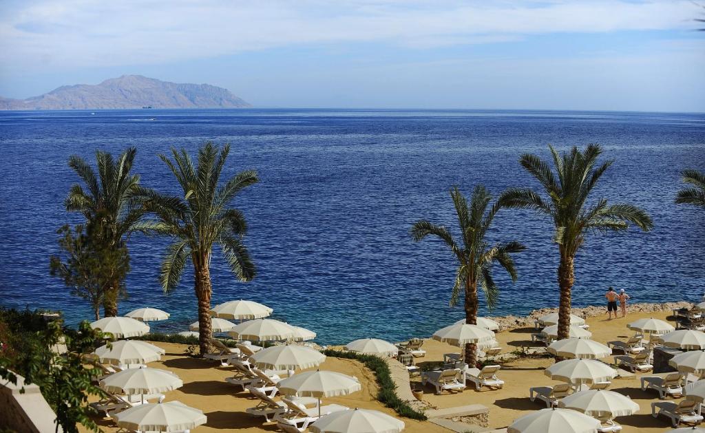 dal travel Stella Di Mare Beach Hotel & Spa Sharm El Sheikh
