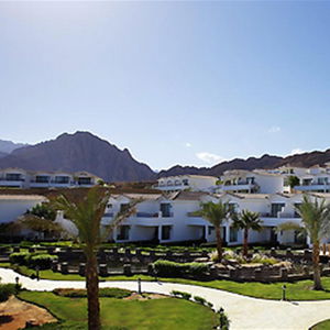 Hotel Ecotel Dahab Resort cazare Dahab