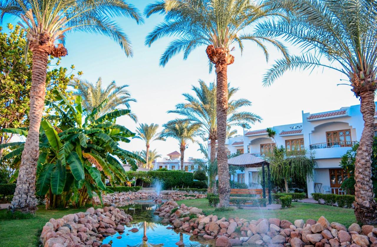 Dive Inn Hotel