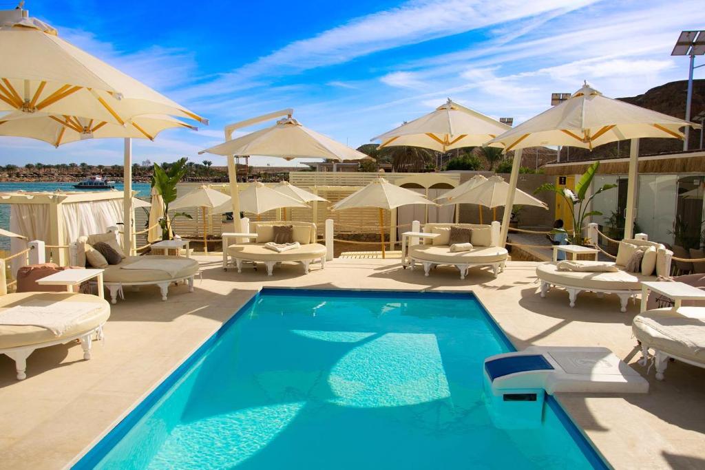 Verginia Sharm