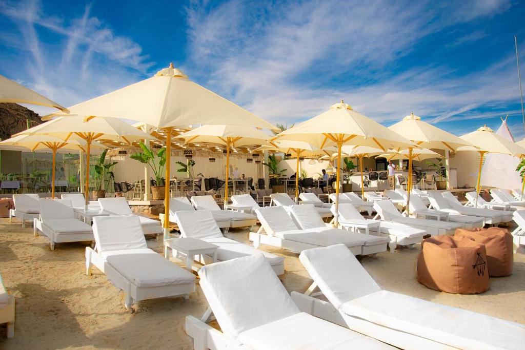 dal travel Verginia Sharm
