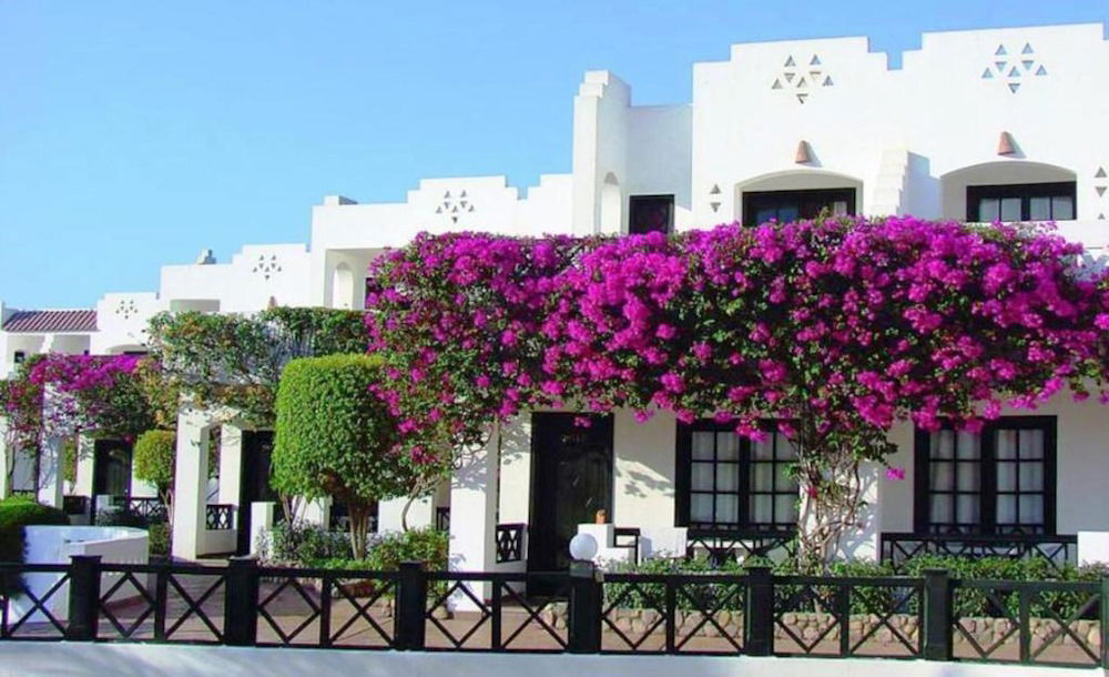 Hotel Verginia Sharm