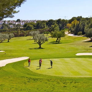 Hotel Flamenca Village Mar Holidays cazare Orihuela