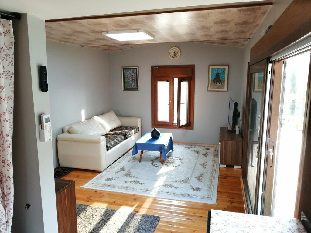 Antik River House