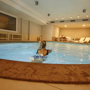Hotel Grifone cazare Madonna di Campiglio