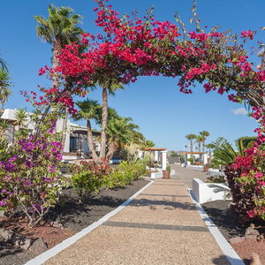 Hotel Jardines Del Sol cazare Lanzarote